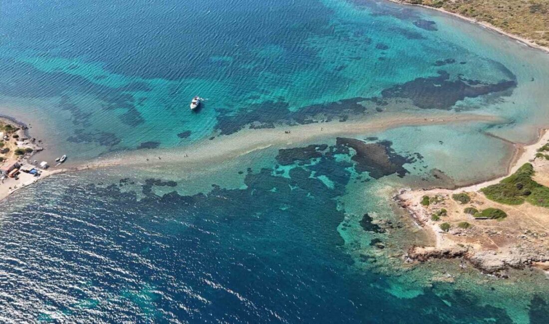 Adadan, adaya denizin içinden yürüyerek geçiyorlar Balıkesir’in Ayvalık ilçesinde bulunan Cunda Adası ile Maden Adası arasındaki
