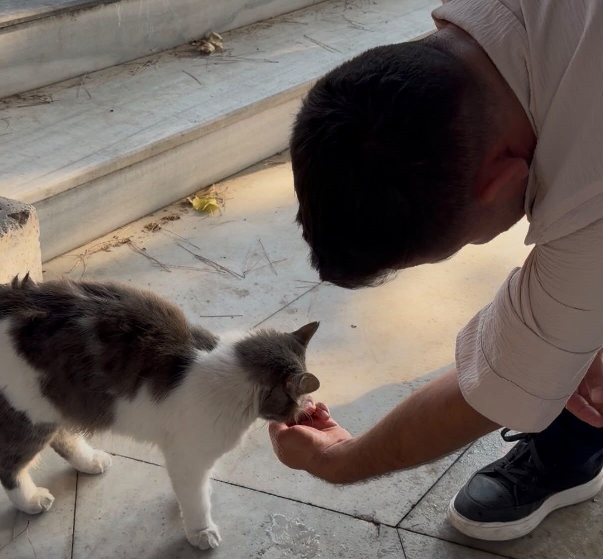 AK Parti Osmangazi Gençlik Kolları’ndan tarihi mirasa anlamlı vefa 15 Bülten Medya -