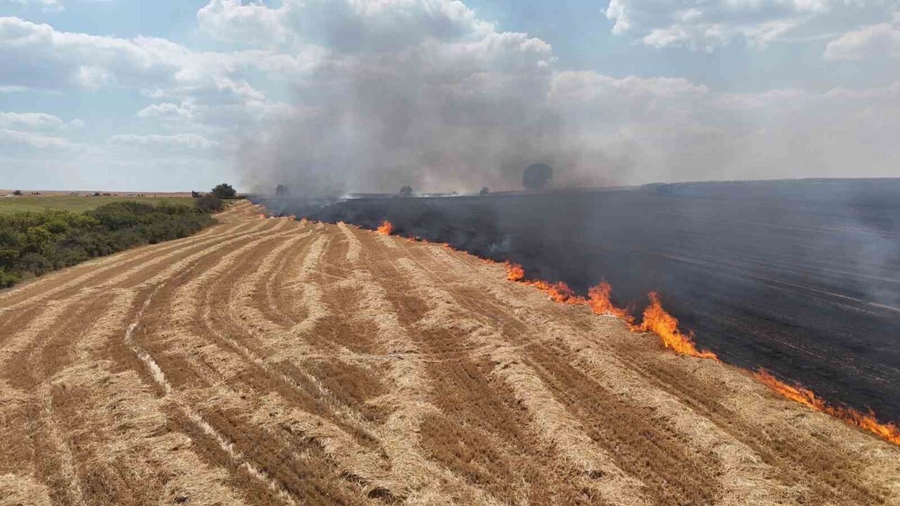 Anız yangını köyleri alarma geçirdi 74 Bülten Medya -