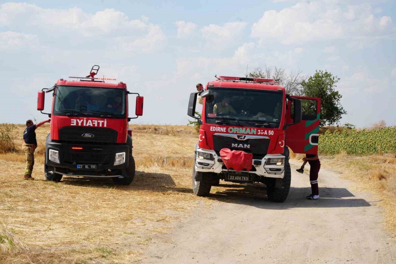 Anız yangını köyleri alarma geçirdi 81 Bülten Medya -