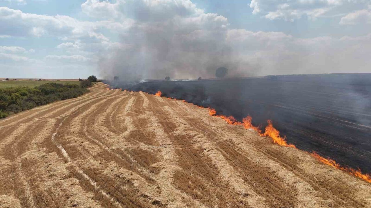 Anız yangını köyleri alarma geçirdi 87 Bülten Medya -