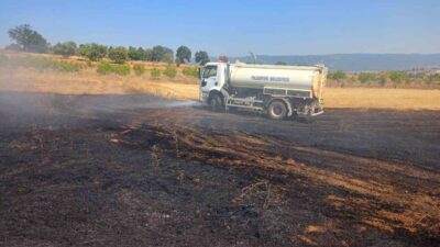 Bilecik’in Pazaryeri ilçesinde çıkan anız yangını, ekiplerin yaklaşık 1 saatlik