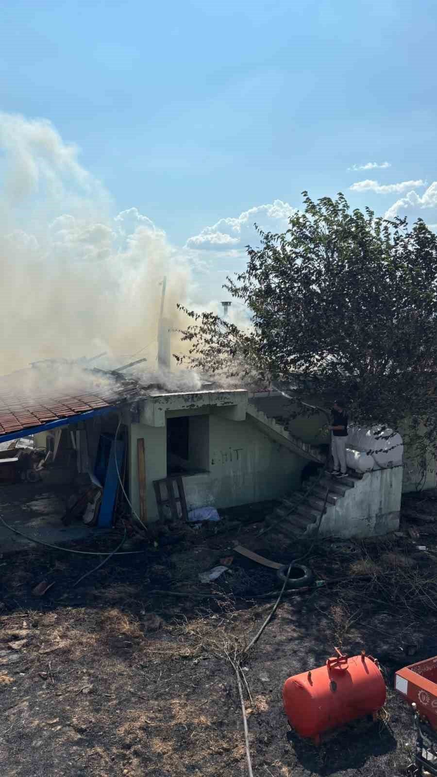 Anız yangını ormana sıçradı, ekipler seferber oldu 19 Bülten Medya -
