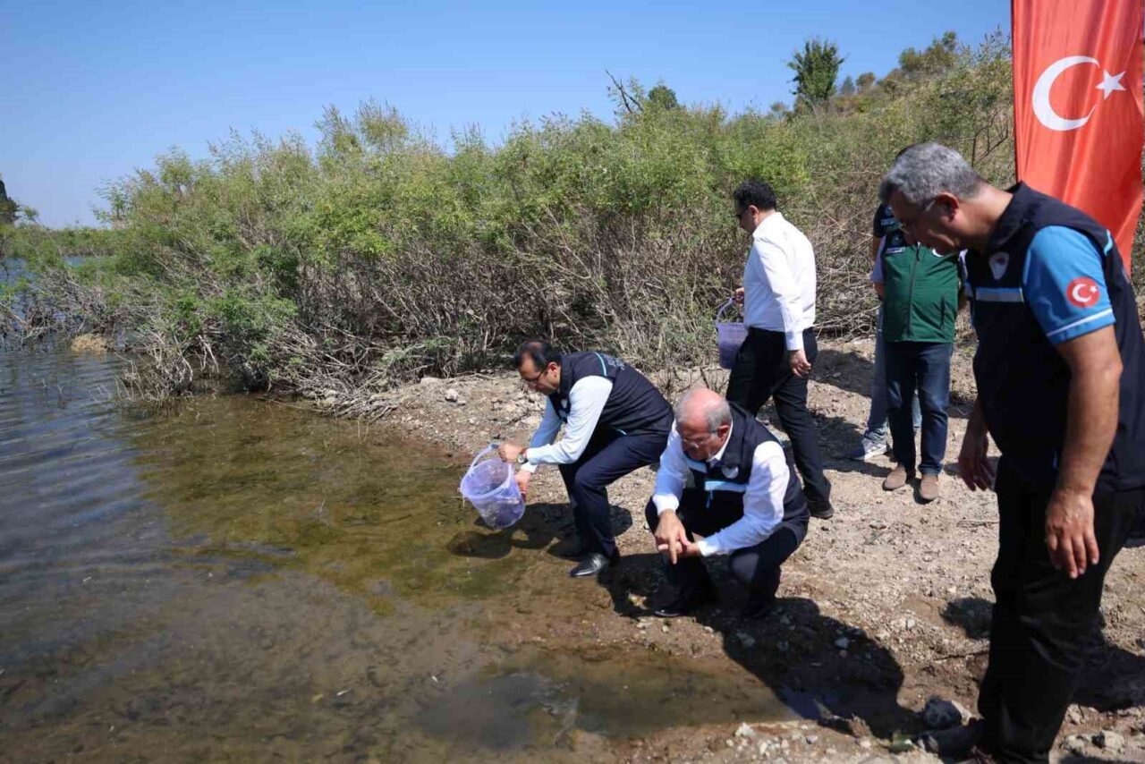 Bülten Medya -