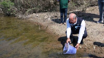 Çanakkale’de Atikhisar Barajı’na 348 bin sazan balığı yavrusu bırakıldı. Çanakkale