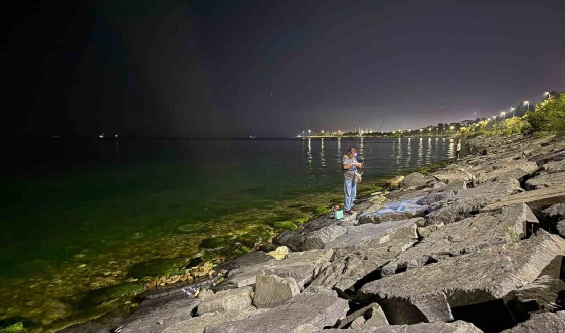 Avcılar’da balık tutarken denize düşen kişi hayatını kaybetti Avcılar’da balık tuttuğu sırada dengesini kaybederek denize düşen 74 yaşındaki