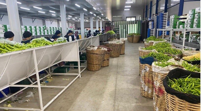 Avrupa sofralarının tercihi Bursa ürünleri 7 Bülten Medya -