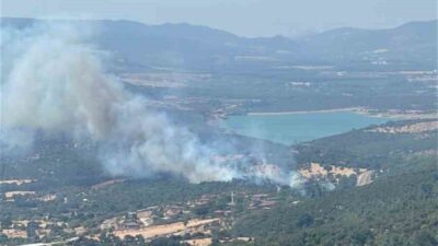 Çanakkale’nin Ayvacık ilçesinde otluk alanda çıkan yangına Orman Bölge Müdürlüğü