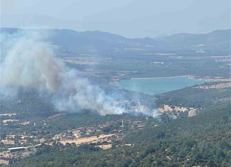 Çanakkale’nin Ayvacık ilçesinde otluk alanda çıkan yangına Orman Bölge Müdürlüğü