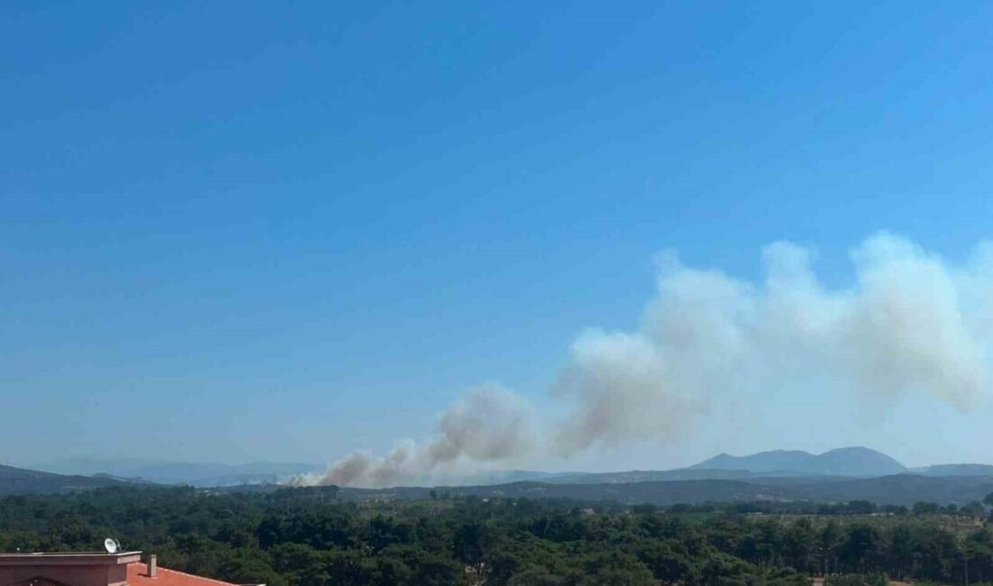 Çanakkale’nin Ayvacık ilçesinde otluk alanda çıkan yangına Orman Bölge Müdürlüğü