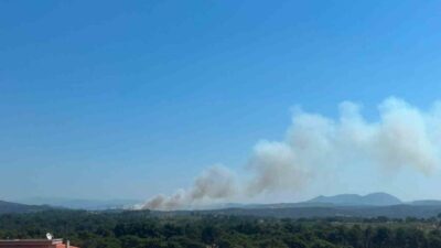 Çanakkale’nin Ayvacık ilçesinde otluk alanda çıkan yangına Orman Bölge Müdürlüğü
