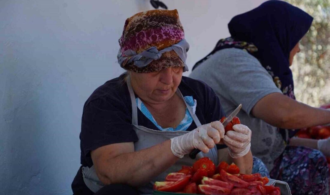 Balıkesir’in Ayvalık ilçesinin Küçükköy Mahallesi’nde faaliyet gösteren S.S. Ayvalık Üretim
