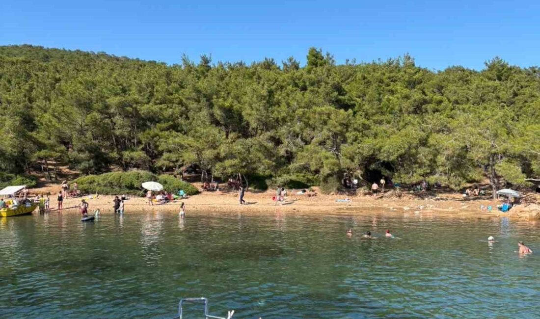 Ayvalık’ta ormanlara giriş yasak ama denetim yetersiz Balıkesir’in Ayvalık ilçesi, son yılların en büyük orman yangınlarıyla mücadele