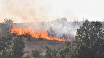 Kırklareli’nin Babaeski ilçesine bağlı Taşağıl köyünde çıkan anız yangını, rüzgarın