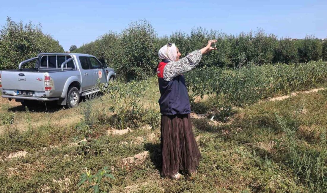 Babaeski’de tarlalar mercek altında Kırklareli’nin Babaeski ilçesinde tarım arazilerinin güncel kullanım durumunun belirlenmesi için
