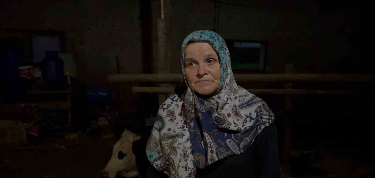 Bahçesine giren dananın kuyruğunu baltayla kesti 4 Bülten Medya -