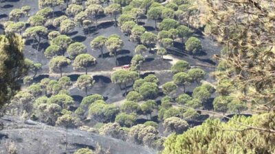 Balıkesir’de 4. gününe giren Gömeç yangını ile dün başlayan Susurluk
