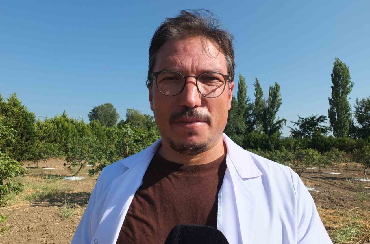 Balıkesir’de sakız hasadına başlandı 20 Bülten Medya -