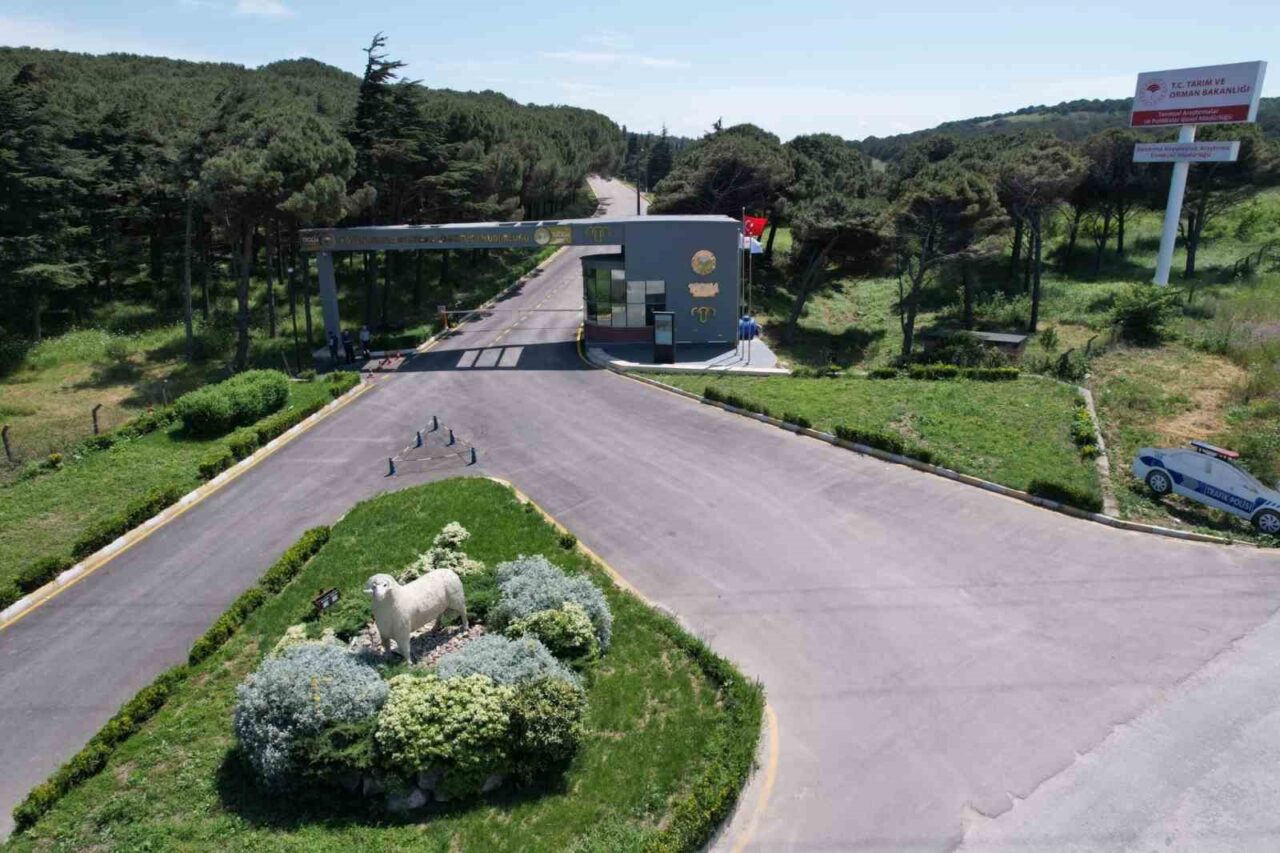 Bandırma Koyunculuk Araştırma Enstitüsü Islah ve Genetik Bölüm Başkanı Dr.