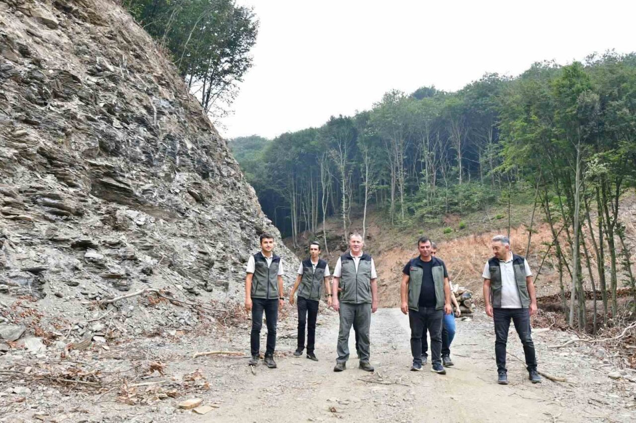 Bandırma Orman İşletme Müdürlüğündeki çalışmalar yerinde incelendi 17 Bülten Medya -