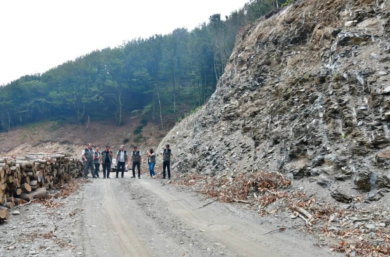 Bandırma Orman İşletme Müdürlüğündeki çalışmalar yerinde incelendi 18 Bülten Medya -