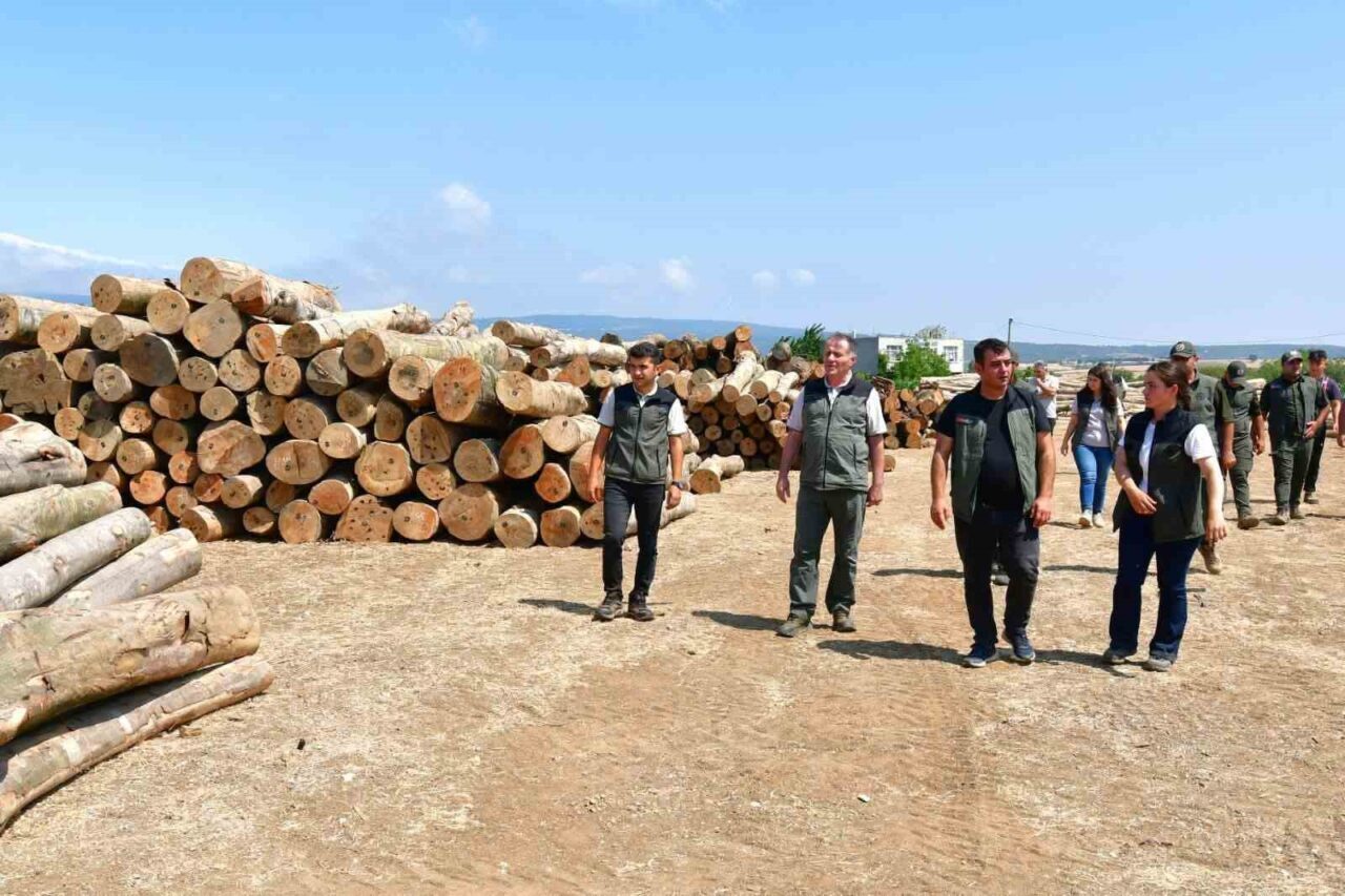 Bandırma Orman İşletme Müdürlüğündeki çalışmalar yerinde incelendi 16 Bülten Medya -
