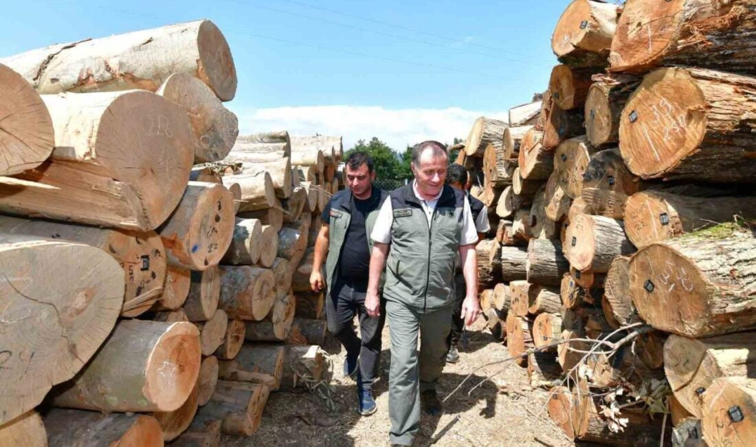 Bandırma Orman İşletme Müdürlüğündeki çalışmalar yerinde incelendi Balıkesir Orman Bölge Müdürü Musa Şen, Bandırma Orman İşletme Müdürlüğü