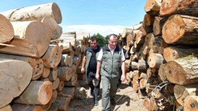 Balıkesir Orman Bölge Müdürü Musa Şen, Bandırma Orman İşletme Müdürlüğü
