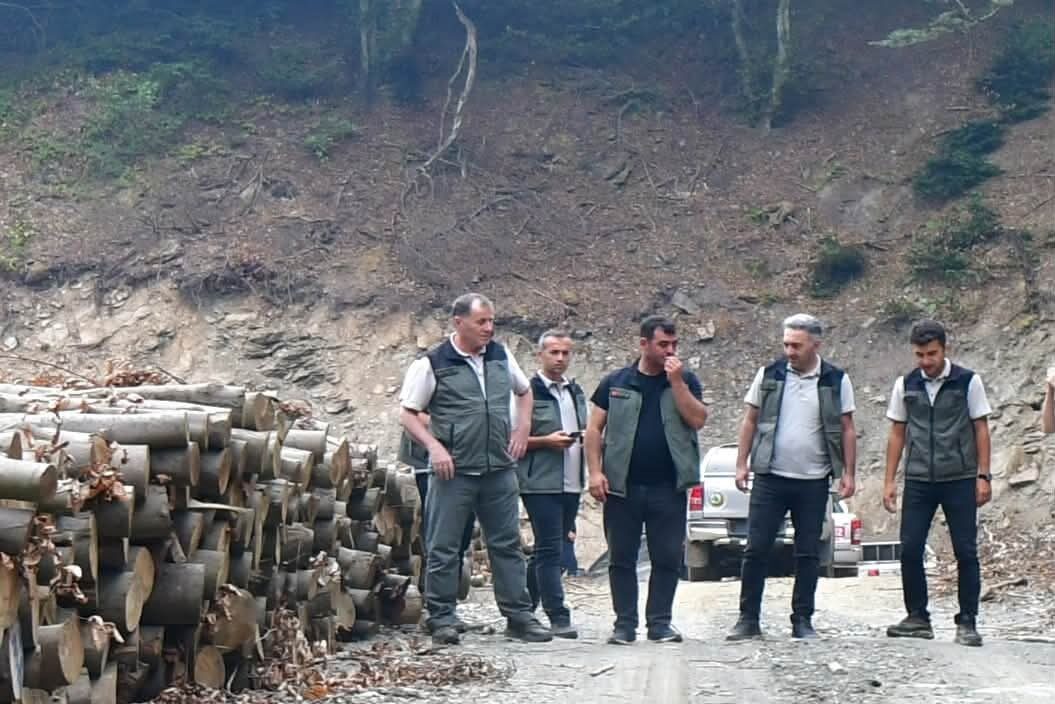 Bandırma Orman İşletme Müdürlüğündeki çalışmalar yerinde incelendi 20 Bülten Medya -