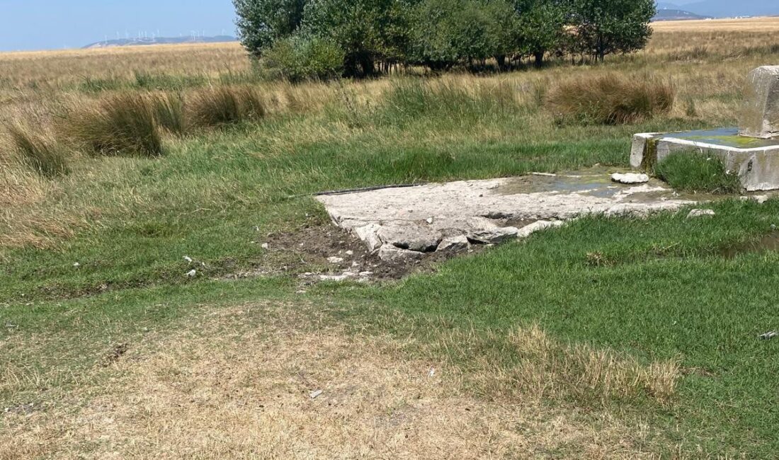 Bandırma’da 24 saattir kayıp olan gençten acı haber Balıkesir’in Bandırma ilçesinde yaklaşık 24 saattir kendisinden haber alınamayan 19