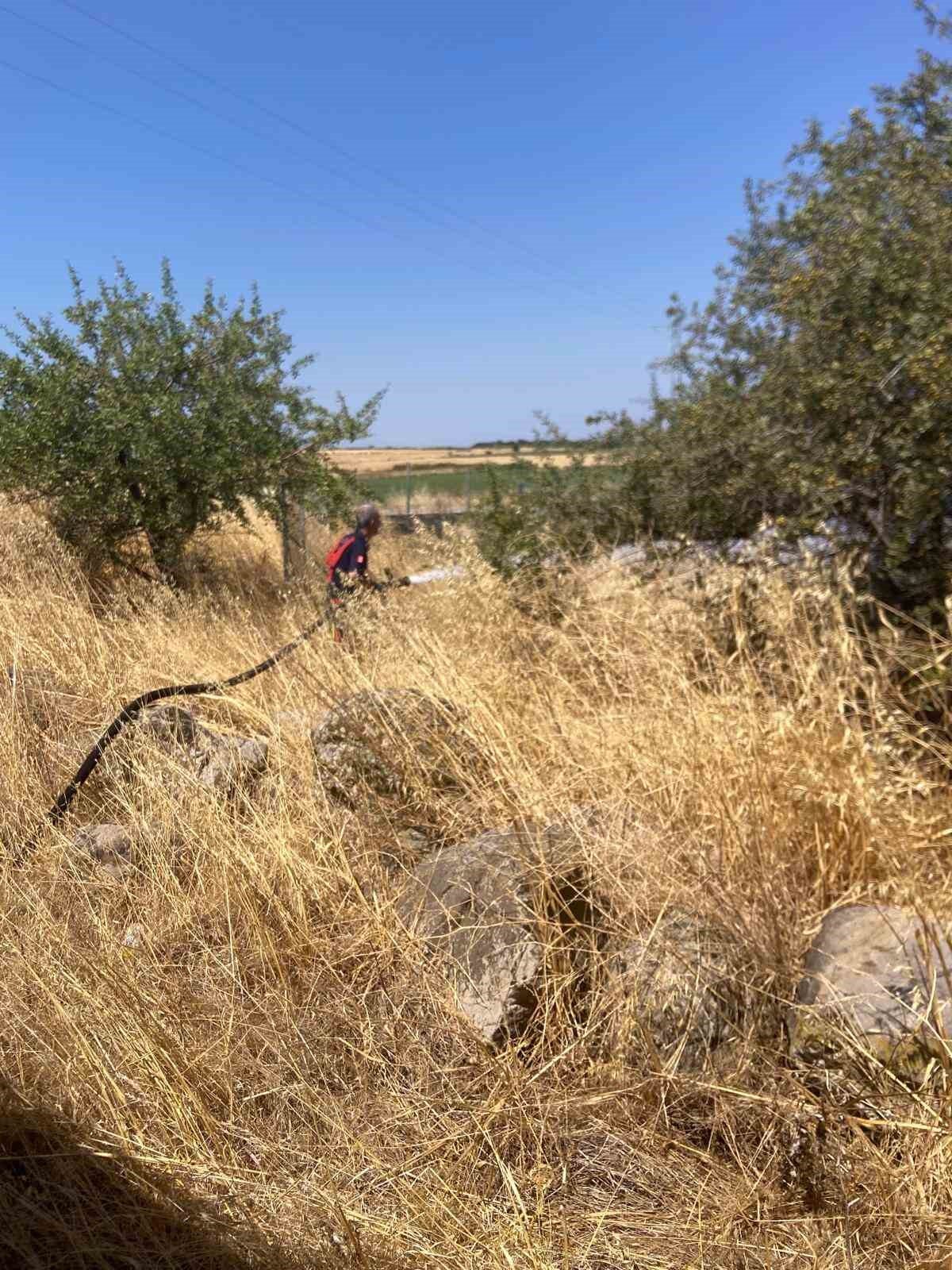 Bandırma’da anız ve otluk alanda yangın 18 Bülten Medya -