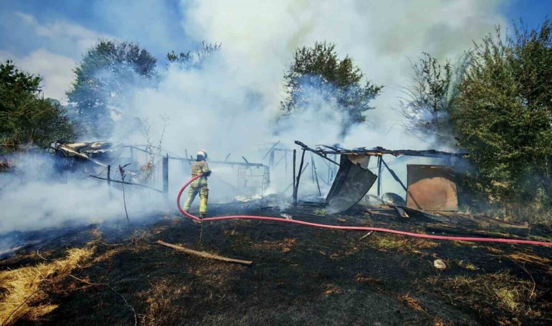 Barakaya sıçrayan yangın itfaiye ekiplerini harekete geçirdi Bursa’nın İnegöl ilçesinde otluk alanda çıkan yangın, kısa sürede büyüyerek