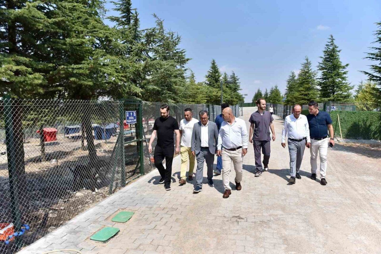 Başkan Hakan Şehirli Hayvan Bakımevi’ni ziyaret etti 15 Bülten Medya -