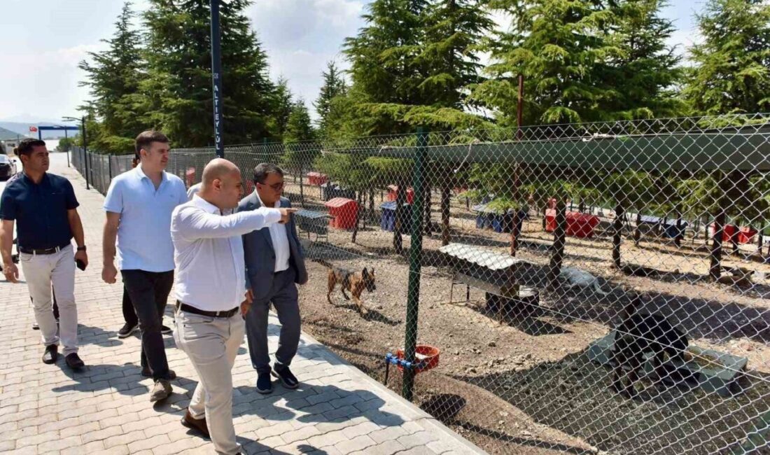 Başkan Hakan Şehirli Hayvan Bakımevi’ni ziyaret etti Altıeylül Belediye Başkanı Hakan Şehirli, başkan yardımcılarıyla birlikte Altıeylül Belediyesi