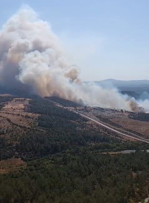Çanakkale’nin Bayramiç ilçesinde ormanlık alanda çıkan yangına Orman Bölge Müdürlüğüne