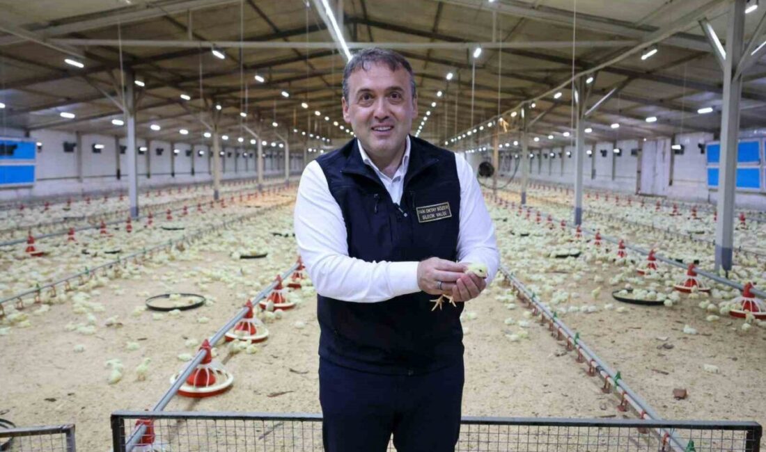 Bilecik 11,5 milyon kanatlı hayvana ev sahipliği yapıyor Bilecik toplam 11 milyon 530 bin 764 kanatlı hayvana ev