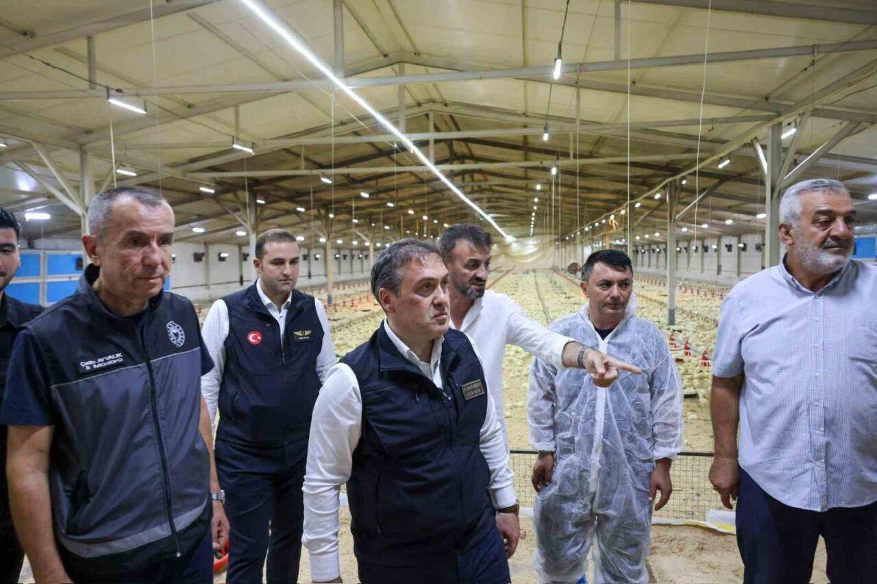 Bilecik 11,5 milyon kanatlı hayvana ev sahipliği yapıyor 7 Bülten Medya -