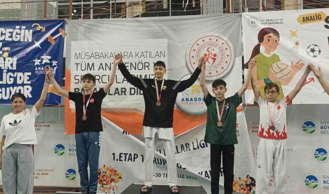 Bilecikli sporcu Türkiye ikincisi oldu Bilecikli tekvando sporcusu Mert Kaan Demirkaya, Türkiye ikincisi oldu. Sakarya’da