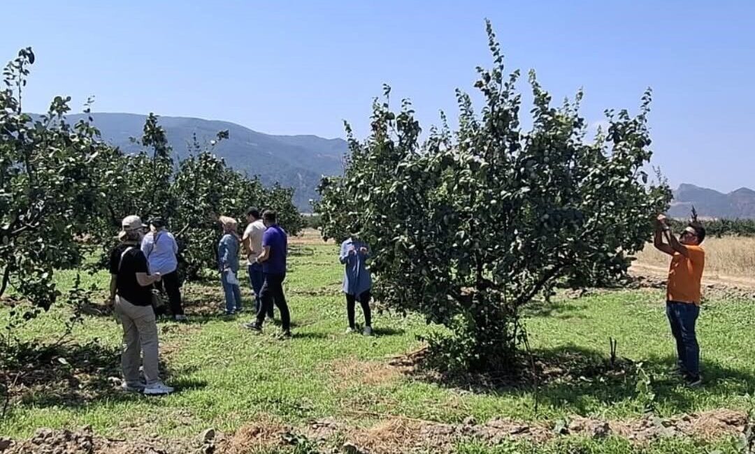 Bilecik’te bitki hastalıkları ve zararlılara karşı saha kontrolü Bilecik’in Osmaneli ilçesinde tarım arazileri hastalık ve zararlı organizmalara karşı