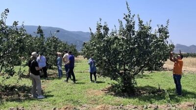 Bilecik’in Osmaneli ilçesinde tarım arazileri hastalık ve zararlı organizmalara karşı