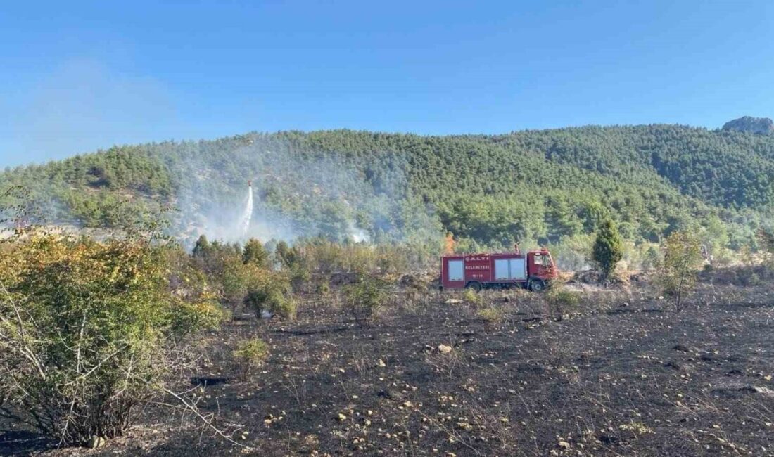 Bilecik’te çıkan tarla yangını ormana sıçramadan söndürüldü Bilecik’te meydana gelen tarla yangını ormana sıçramadan söndürüldü. Yangın, Bilecik’in