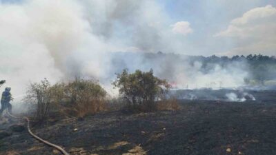 Bilecik’te meydana gelen yangında 30 dönümlük hasadı yapılmış buğday tarlası