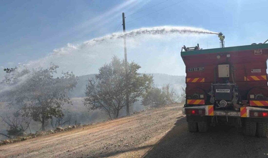 Bilecik’te devrilen elektrik direği yangına neden oldu Bilecik’te elektrik direğinin devrilmesi ve tellerin kopması sonucu yangın çıktı.