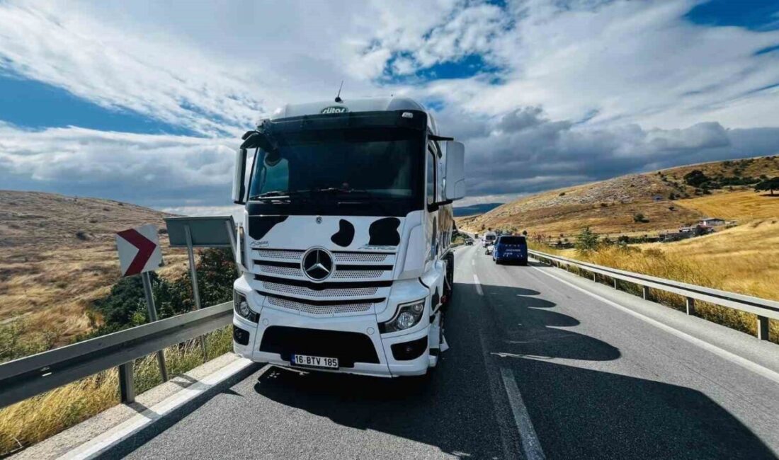 Bilecik’te kamyon ile otomobil çarpıştı, 1 yaralı Bilecik’te seyir halinde kontrolden çıkarak karşı şeride geçen kamyonun otomobile