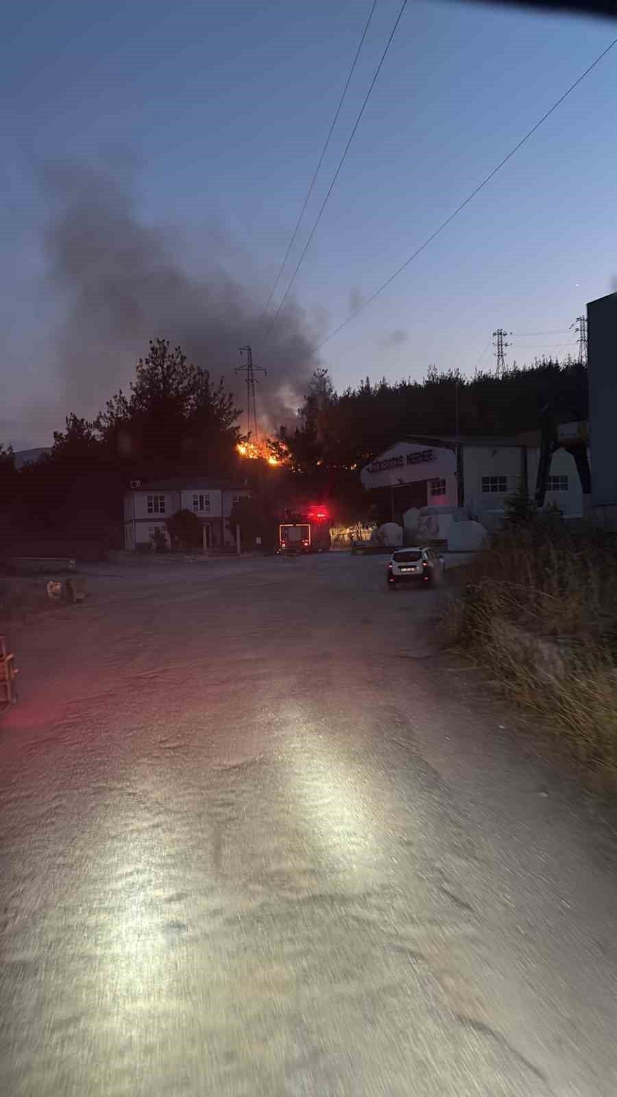 Bilecik’te kuşun elektrik teline çarpması sonucu çıkan yangın kontrol altına alındı 4 Bülten Medya -