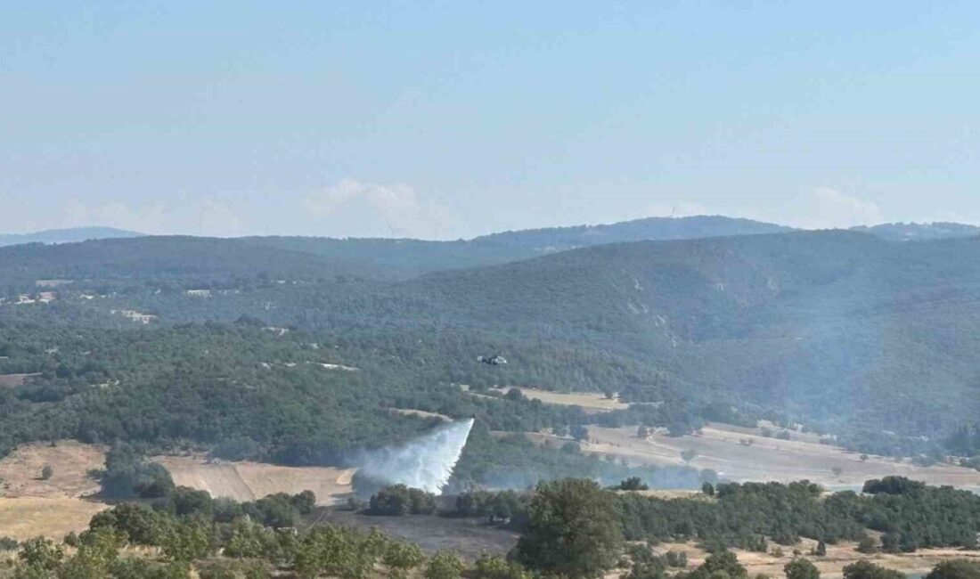 Bilecik’in Söğüt ilçesinde ormanlık alanda başlayan yangın kontrol altına alındı.