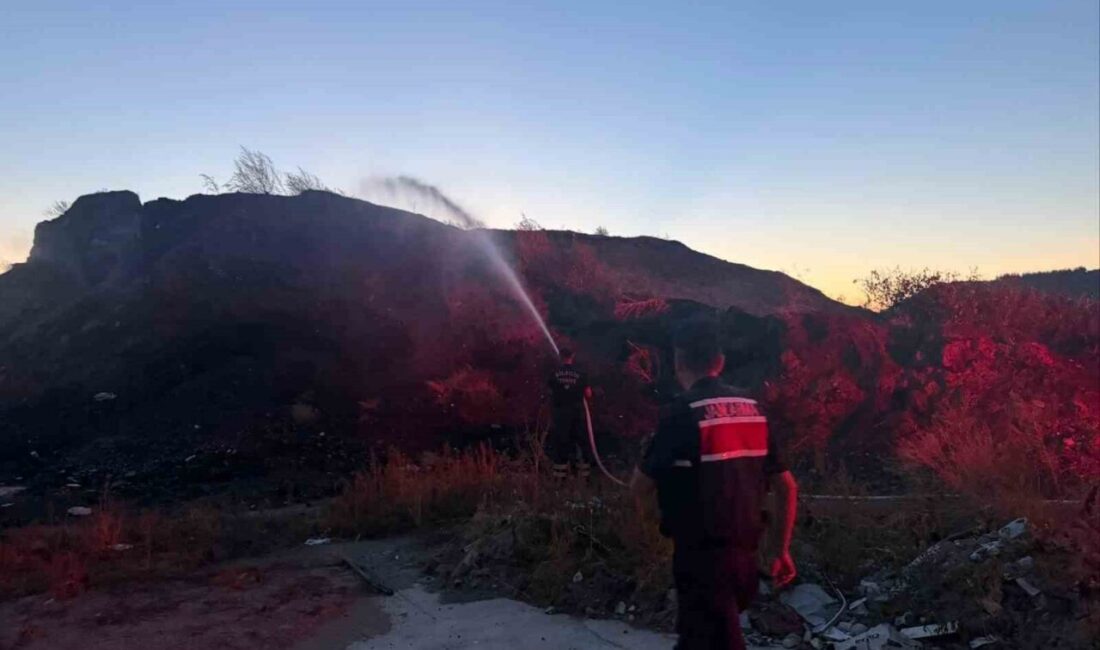 Bilecik’te ot ve çalılık yangını çıktı. Yangın, Bilecik merkeze bağlı
