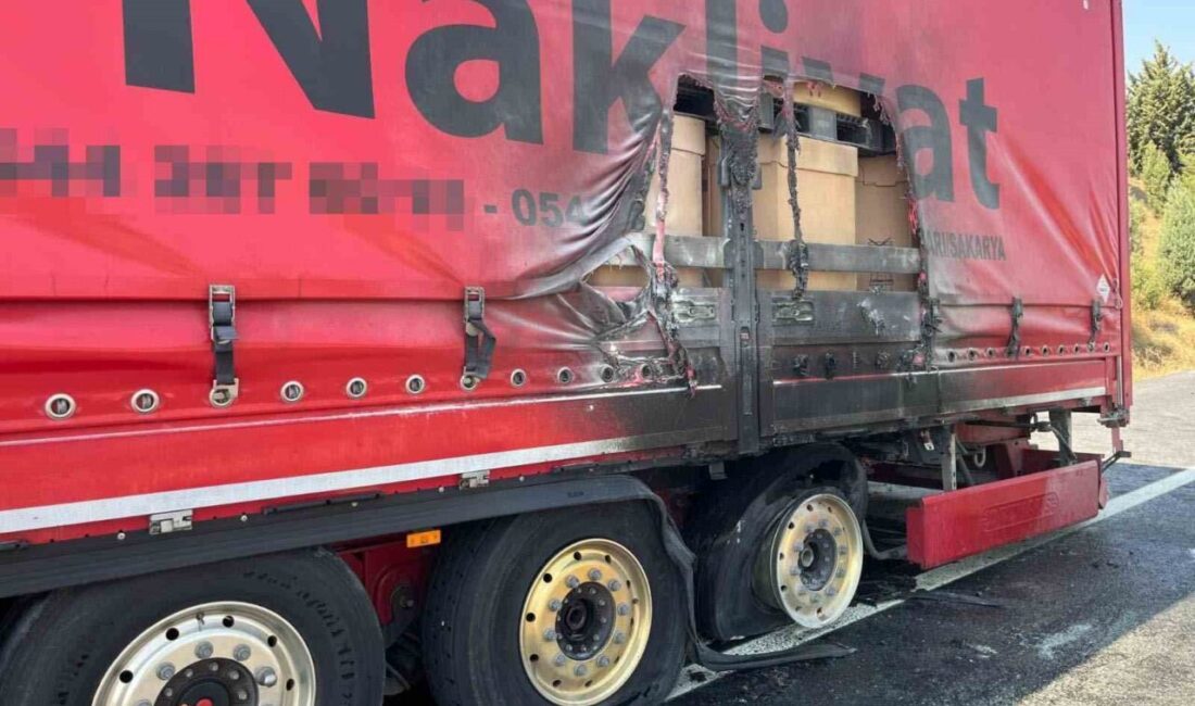 Bilecik’in Osmaneli ilçesinde seyir halindeki TIR’ın dorsesinde yangın çıktı. Ekiplerin