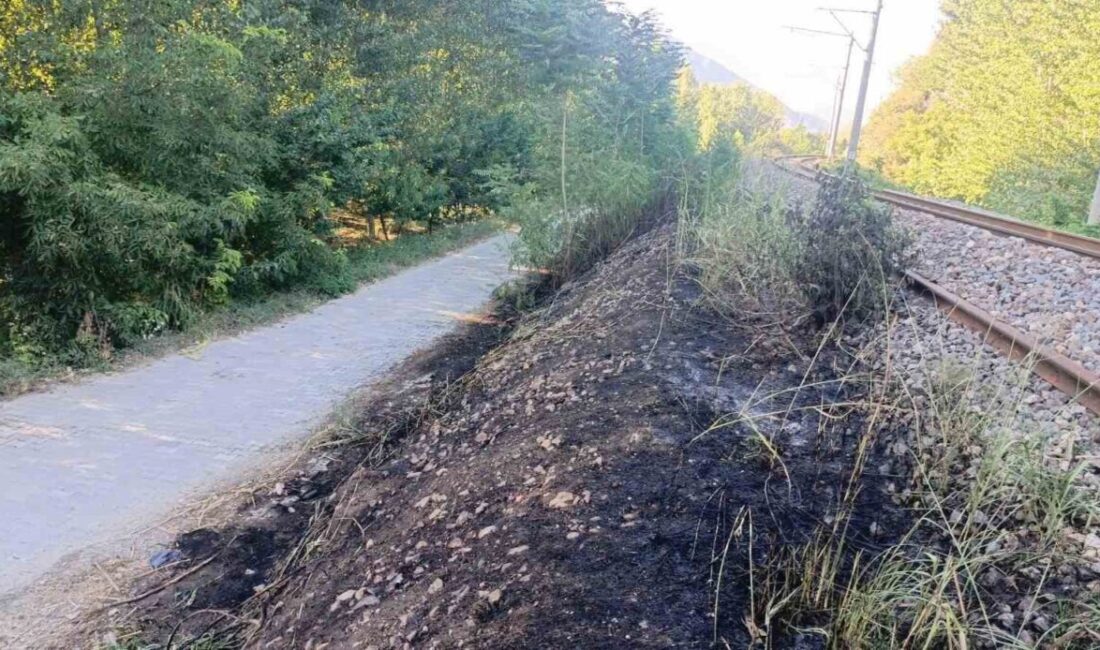 Bilecik’te YHT hattı kenarında yangın çıktı Bilecik’te, Yüksek Hızlı Tren (YHT) hattı kenarında ot ve çalılık