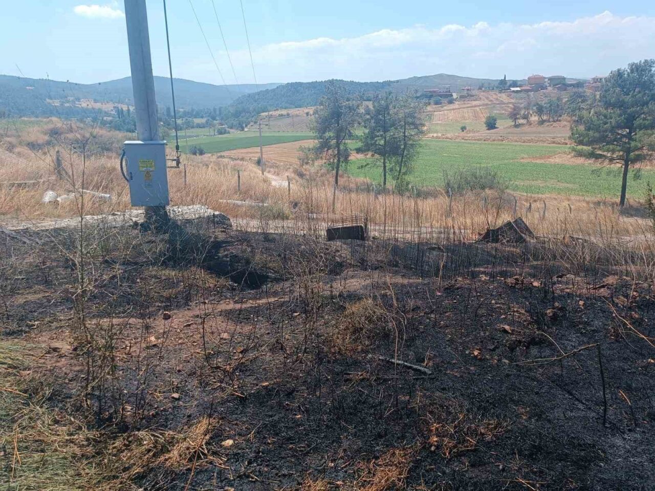 Bilecik’te ziraat alanında çıkan yangın büyümeden söndürüldü 11 Bülten Medya -